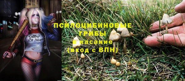 МДПВ Белокуриха