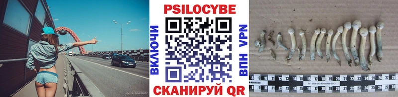 Купить закладки  Гаврилов-Ям  Галлюциногенные грибы Psilocybe 