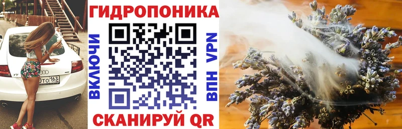 Купить где  Гаврилов-Ям  Конопля OG Kush 